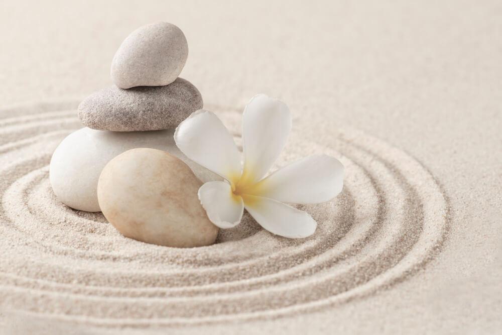 Stenen en een witte bloem in zand